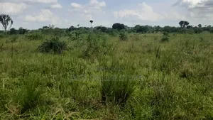 20 Acres for Sale in Wakyato, Nakaseke