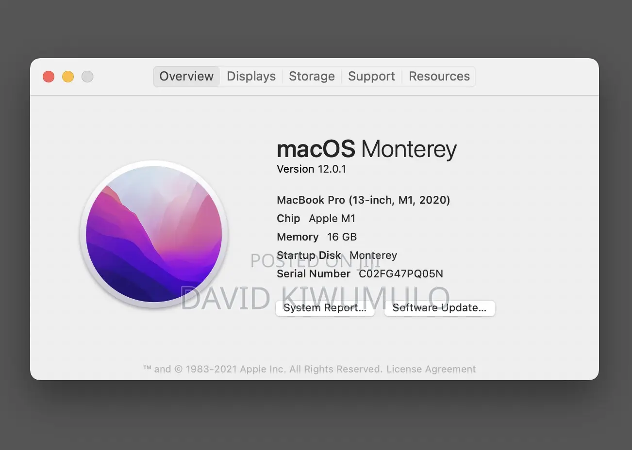 Macbook and Windows Update Services