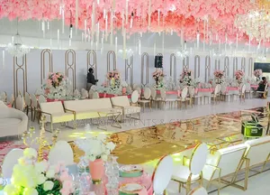 Pink Shades Gold White and Some Bit of Green Introduction