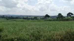 Plot for Sale Jinja-Kagoma on Kamuli Road
