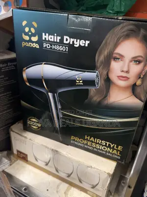 Panda Professional Hair Dryer for Drying and Styling Pd-H8601