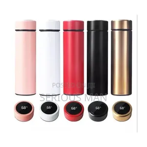 Temperature Display Smart Thermo Flask Bottle