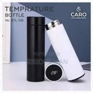 Temperature Display Smart Thermo Flask Bottle