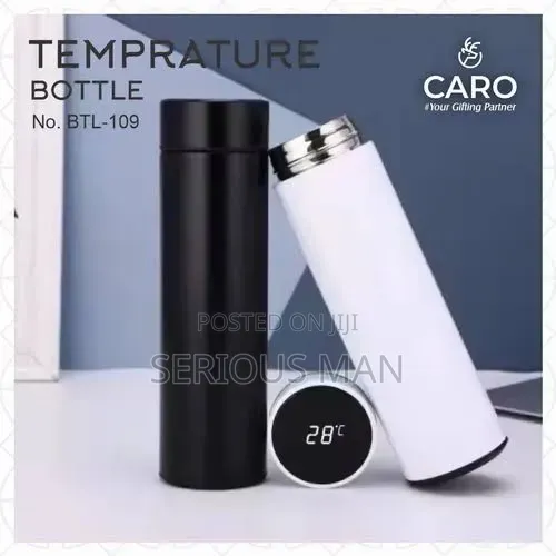 Temperature Display Smart Thermo Flask Bottle
