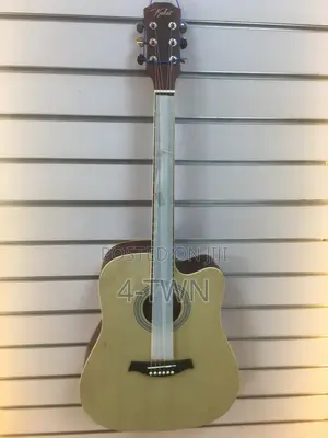 Acoustic Guitars