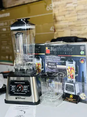 Hoffmans High Quality Blender 2in1