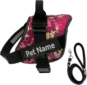 Pets Personalized Dog Harness With Leash