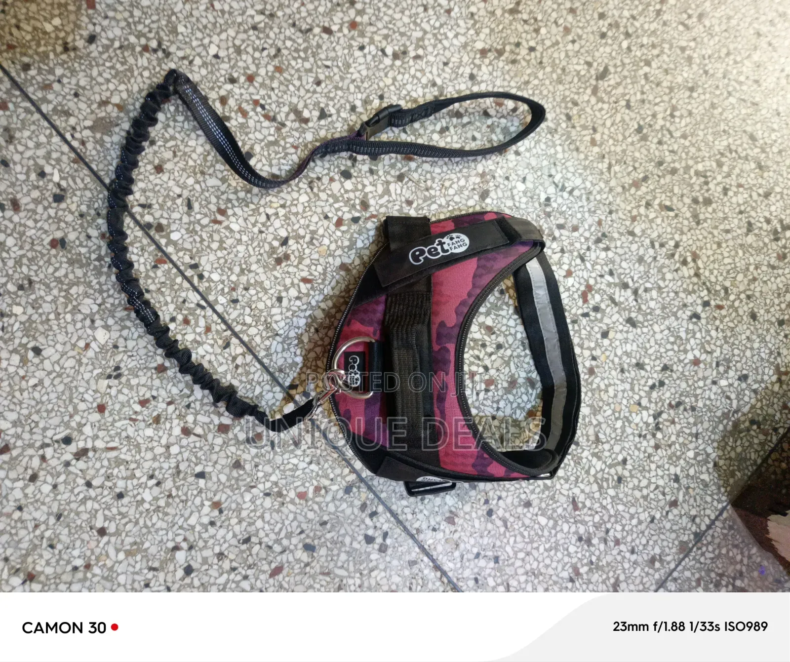 Dog Harness With Leash