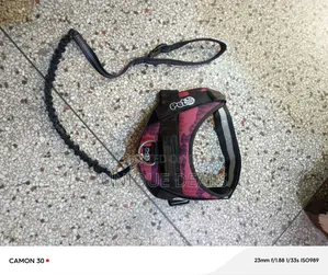 Dog Harness With Leash