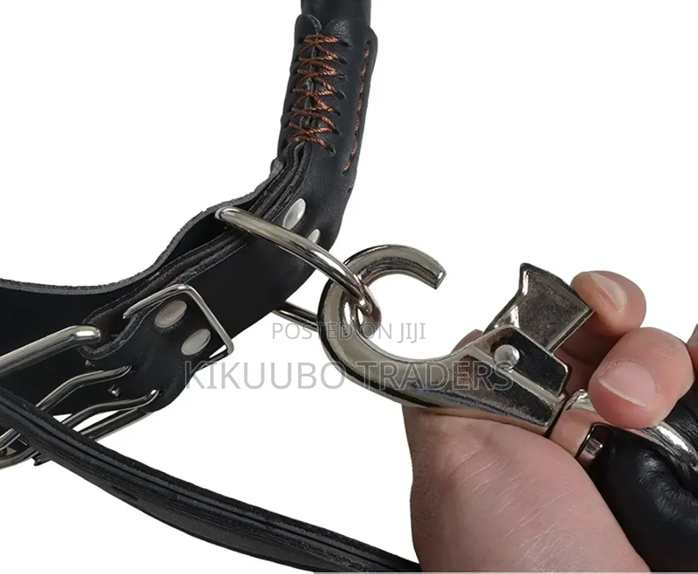 Pu Leather Dog Lead With Dog Collar Set