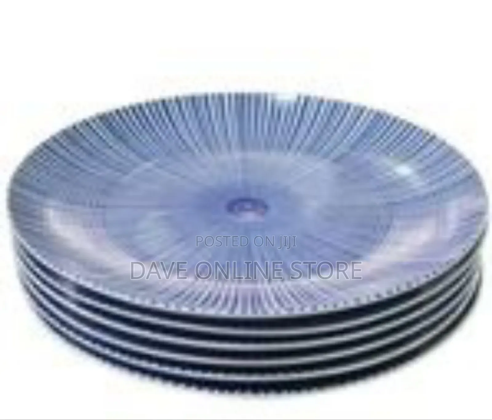 6 Piece Set of Ceramic Dinner Plates