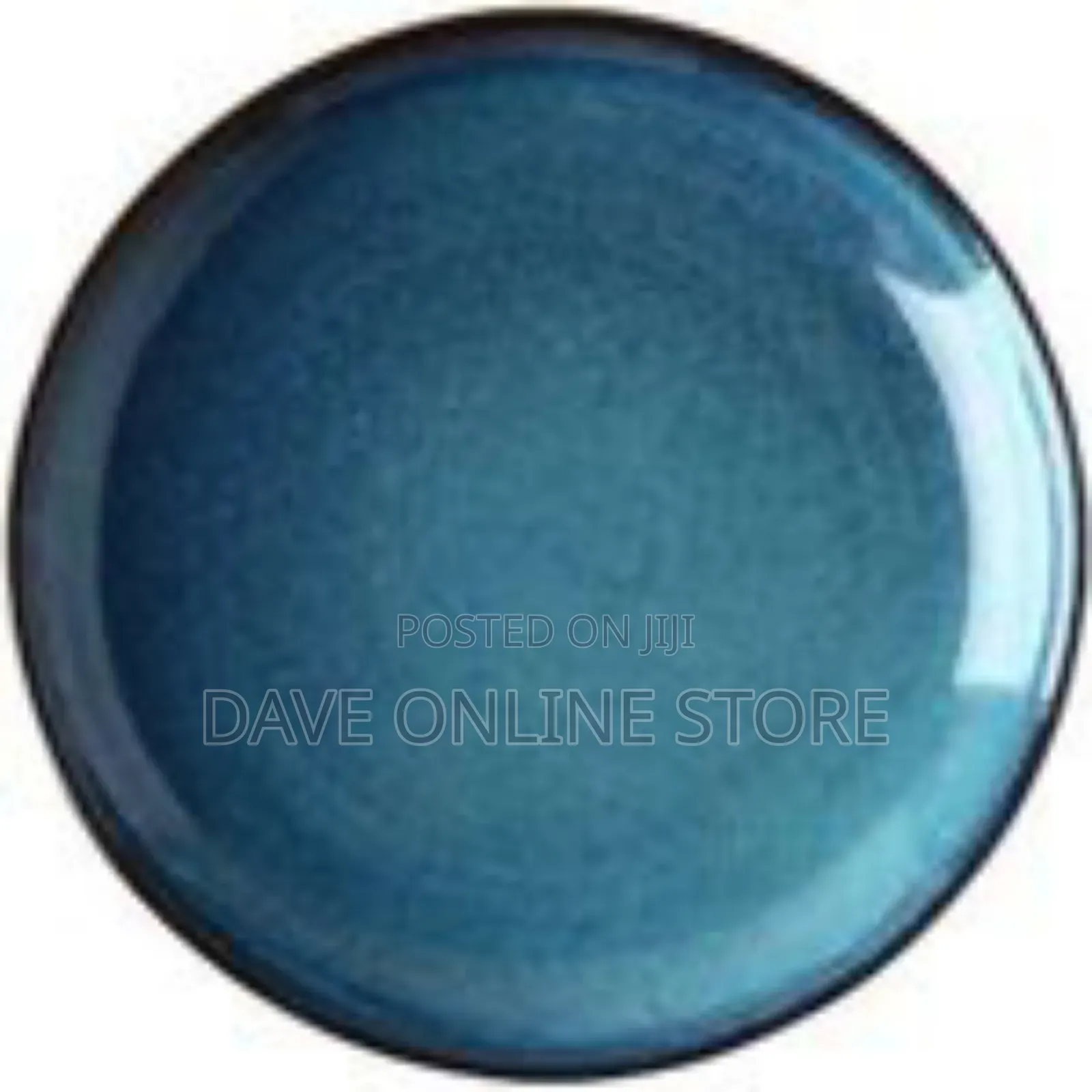 Set of 6 Dinner Plates