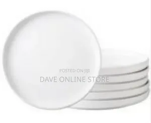 Set of 6 Modern Ceramic Dinner Plates/Serving Platters