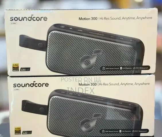 Anker Soundcore Motion 300 Bluetooth Speaker