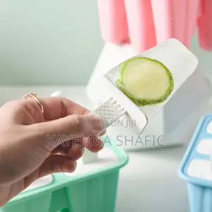 Reusable 6-Grid Plastic Popsicle Mold Ice Pop Maker