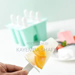 Reusable 6-Grid Plastic Popsicle Mold Ice Pop Maker