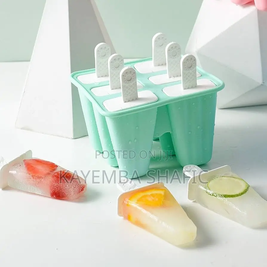 Reusable 6-Grid Plastic Popsicle Mold Ice Pop Maker