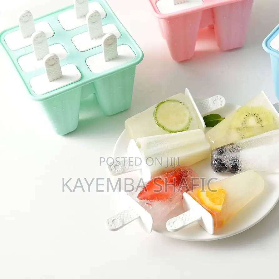 Reusable 6-Grid Plastic Popsicle Mold Ice Pop Maker