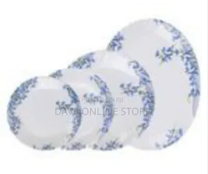 Arcopal Elegant Floral Dinnerware Set