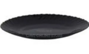 6 Piece Set of Porcelain Dinner Plates
