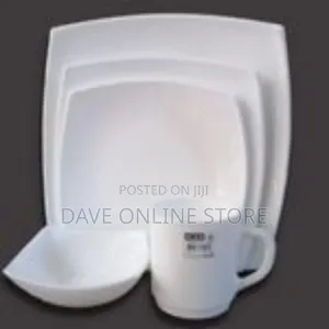 30 Piece Set of 6 Ceramic Dinner Plates