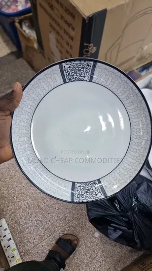 Ceramic Dinner Plates