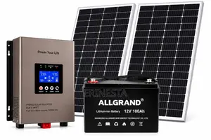 Solar System–1.2kwh Lifepo4 1kw Hybrid Inverter 2x450w Panels