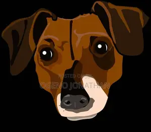 Adobe Illustration