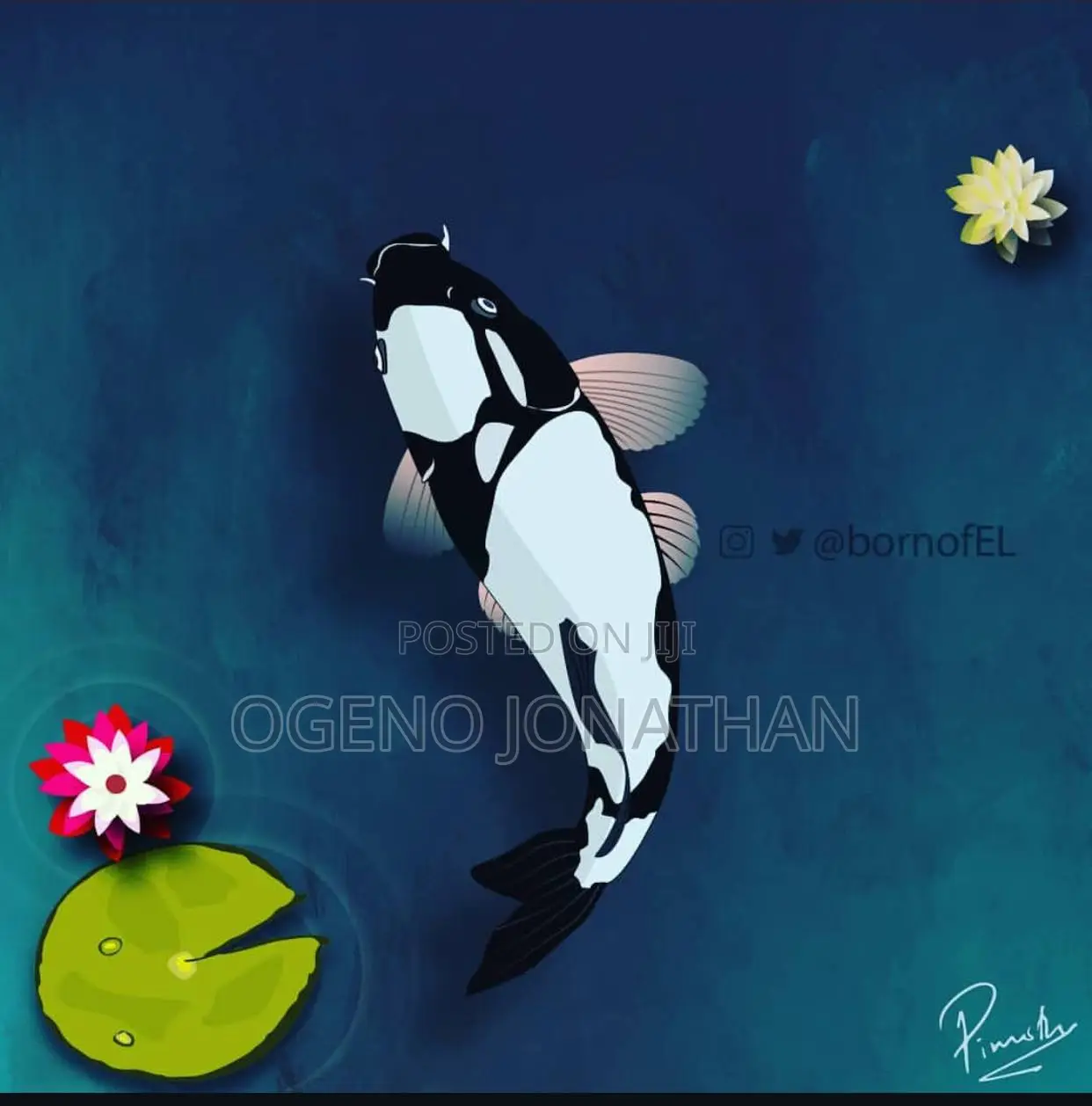 Adobe Illustration