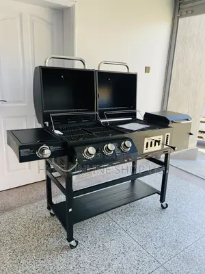 Brandnew Outdoor Modern Gas and Charcoal Grilling Barbecue Machine