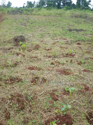 100by100ft La D for Sale by Owner With Ready Private Mailo Land Title