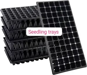 Seedling Trays