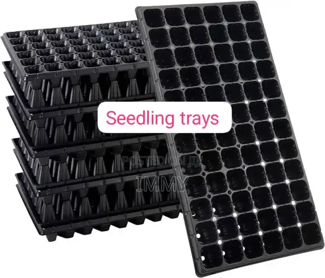Seedling Trays