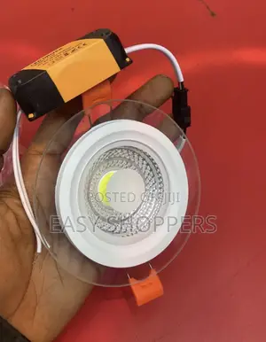 Led Recessed Spotlight or Ceiling Panel Light With External Led Driver