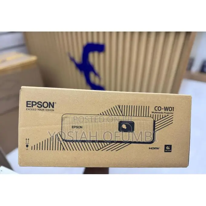 Epson Co-Wo1 Projector