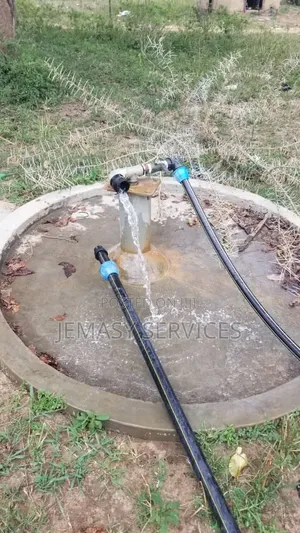 Deep Well Services ( Rig )