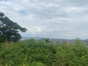 25 Decimals Tophill in Muyenga