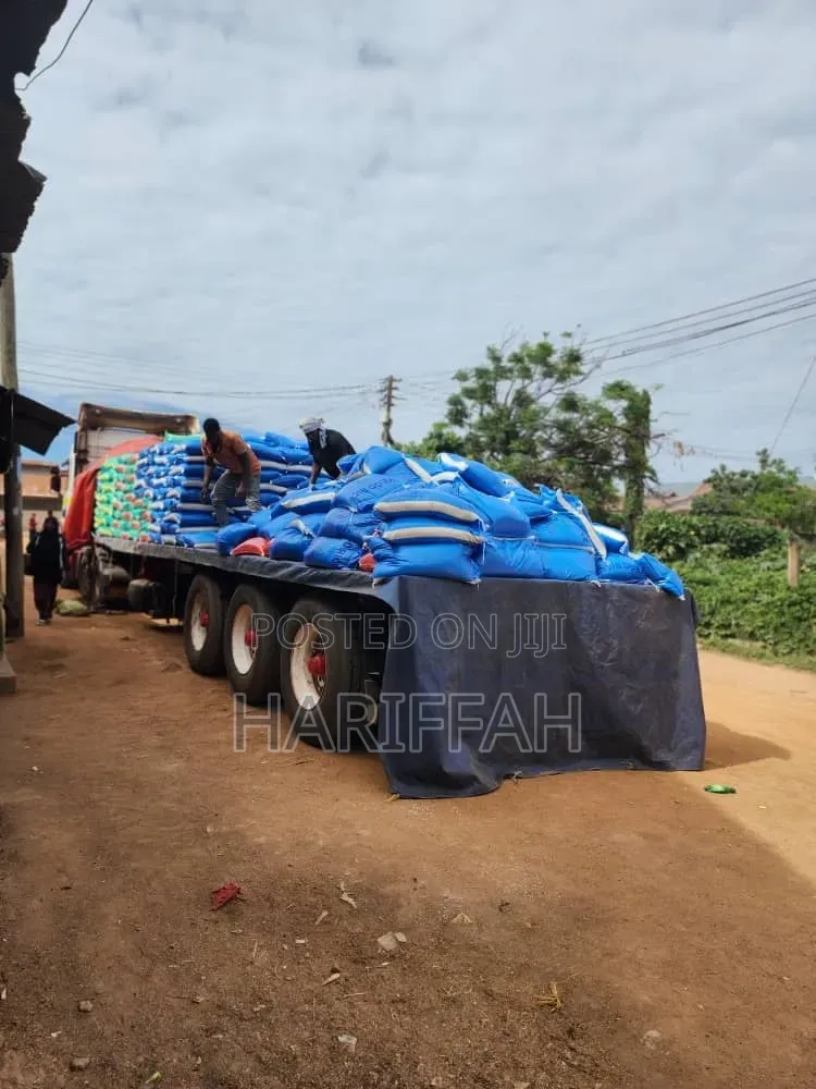 Super High Graded Rice
