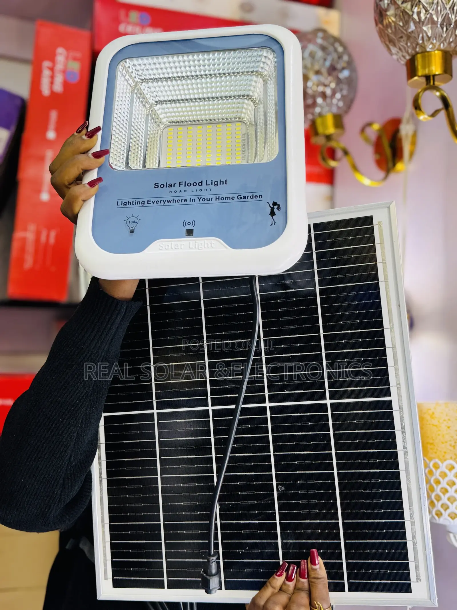 Solar Flood Light 100watts
