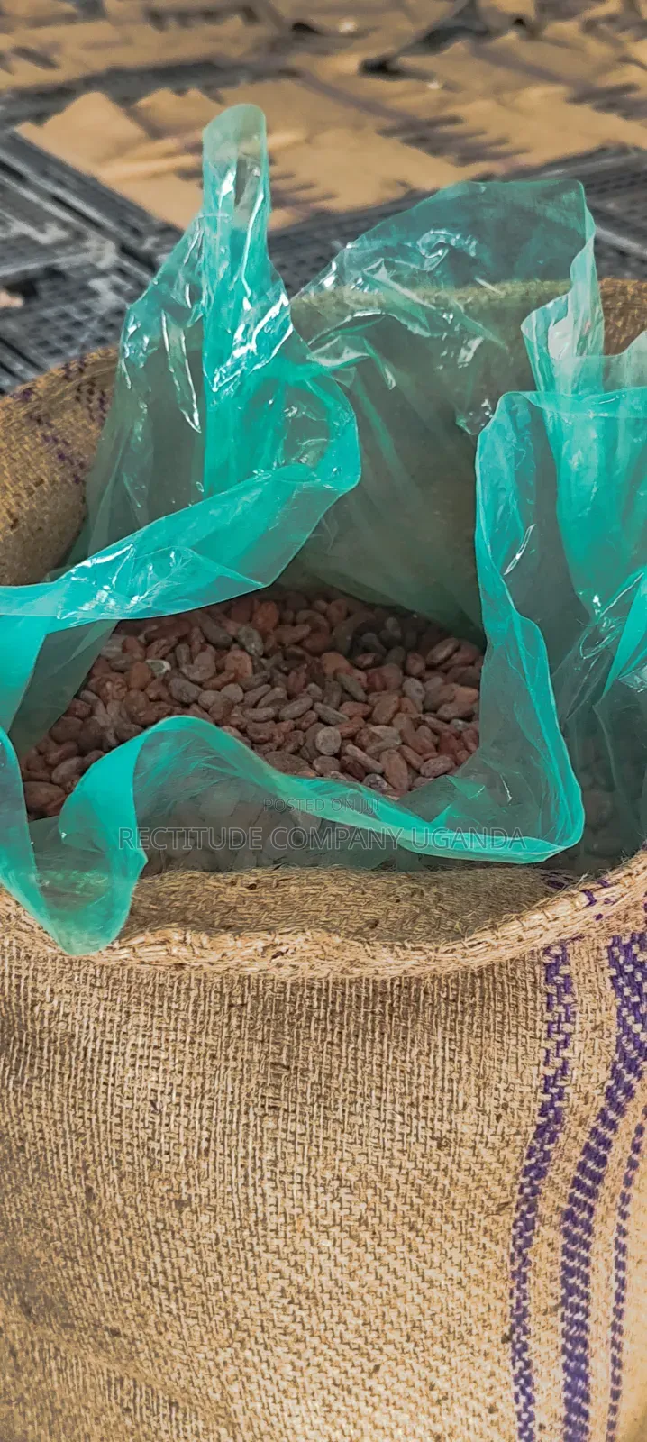 Grainpro Bags