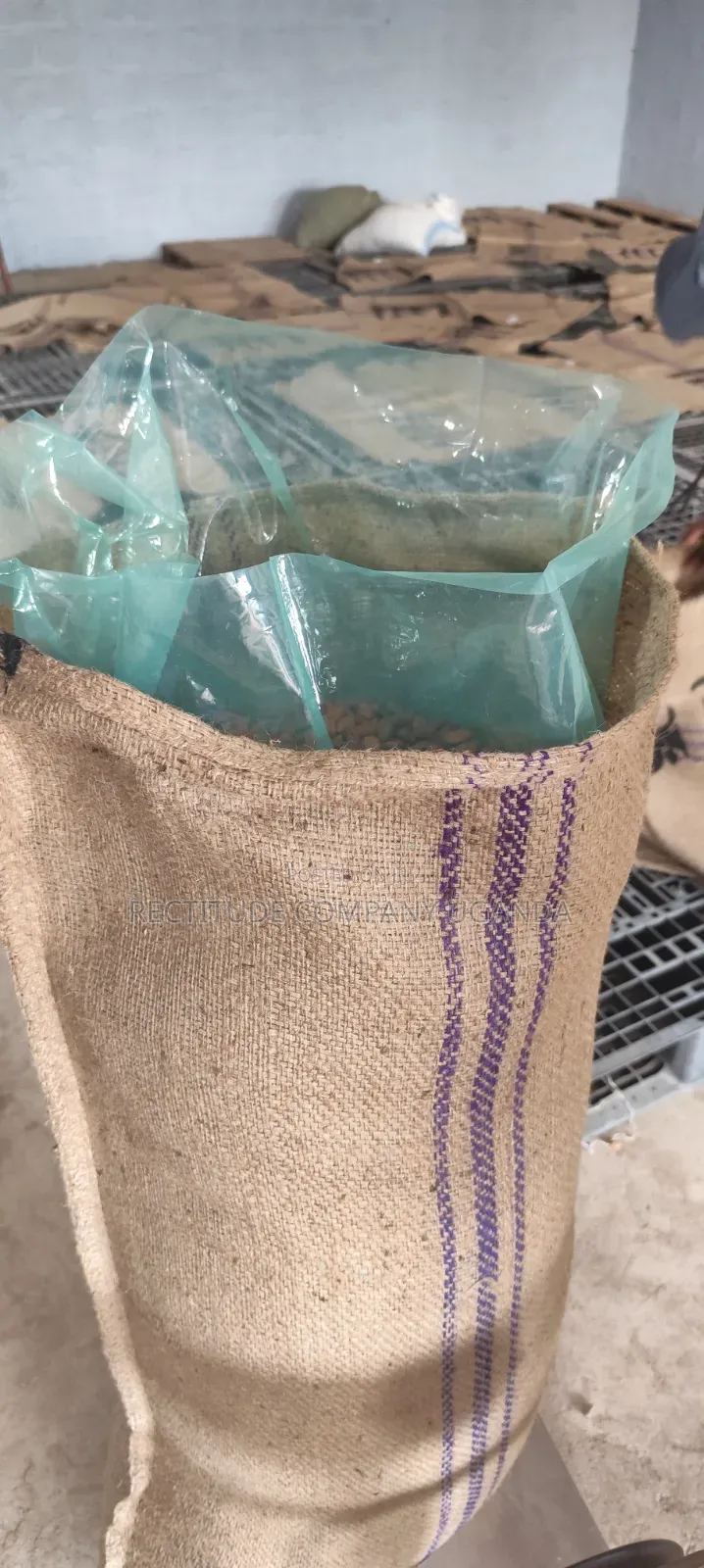 Grainpro Bags