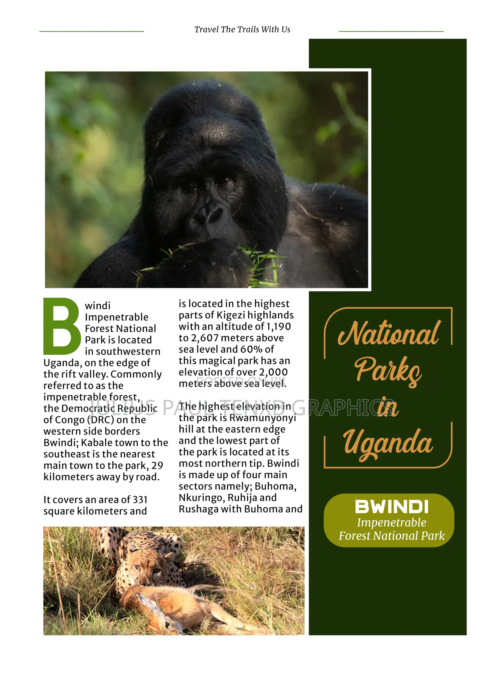 Magazine Design