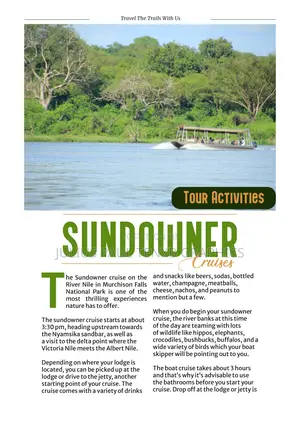 Magazine Design