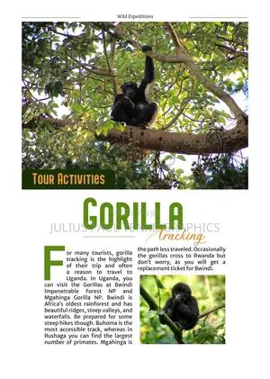 Magazine Design
