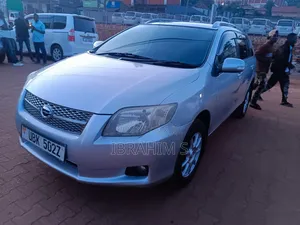 Toyota Corolla Fielder 2010 Silver