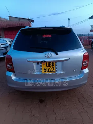 Toyota Corolla Fielder 2010 Silver