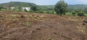 Plots for Sale 50x100 Titled, Just Give Away