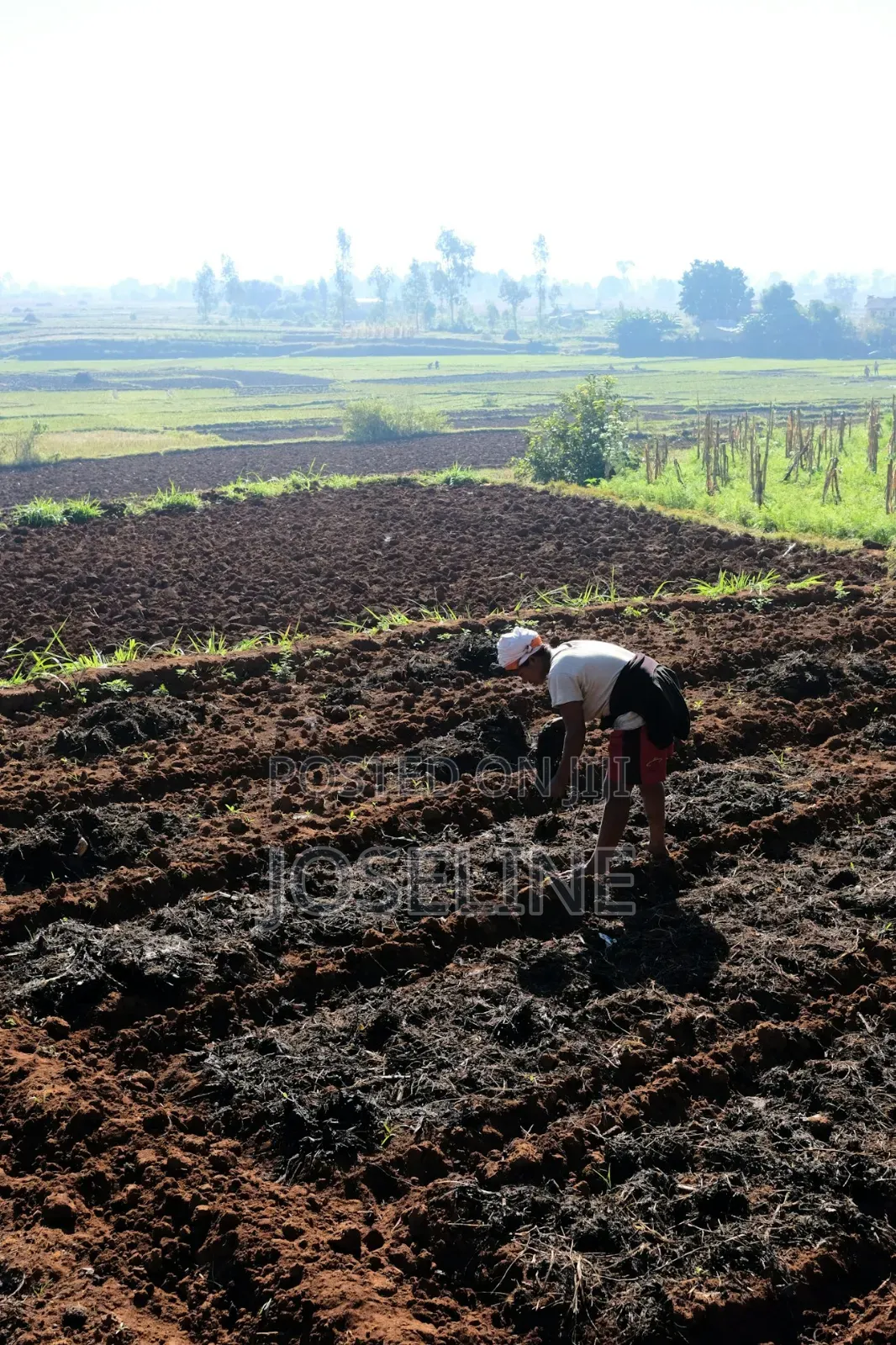 Farm Workers Available