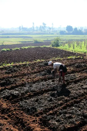 Farm Workers Available