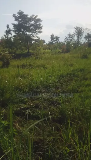 Plot 4 Sale